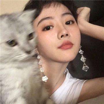 坏坏的飞机九游版下载